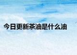 今日更新茶油是什么油