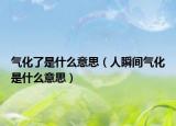 氣化了是什么意思（人瞬間氣化是什么意思）