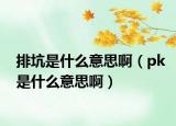 排坑是什么意思?。╬k是什么意思?。? /></span></a>
                        <h2><a href=