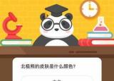 今日更新北極熊的皮膚（北極熊的皮膚是什么顏色）