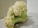 今日更新粗纖維食品（粗纖維食品有哪些）