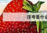 今日更新浮夸是什么意思（浮夸）
