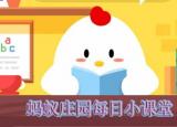 今日更新二胡幾根弦（二胡有幾根弦）