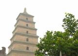 今日更新大雁塔在哪（永遠的長安——大雁塔）
