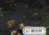 今日更新巨獸島怎么去（魔獸世界怎么去巨獸島）