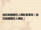 加拉帕格斯巨人蜈蚣有毒嗎（加拉帕格斯巨人蜈蚣）