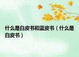 什么是白皮書和藍(lán)皮書（什么是白皮書）