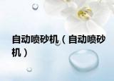 自動(dòng)噴砂機(jī)（自動(dòng)噴砂機(jī)）