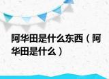 阿華田是什么東西（阿華田是什么）