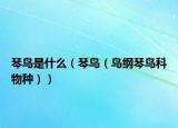 琴鳥是什么（琴鳥（鳥綱琴鳥科物種））