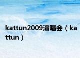 kattun2009演唱會（kattun）