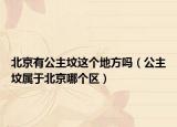 北京有公主墳這個(gè)地方嗎（公主墳屬于北京哪個(gè)區(qū)）
