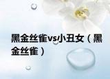 黑金絲雀vs小丑女（黑金絲雀）