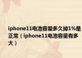 iphone11電池容量多久掉1%是正常（iphone11電池容量有多大）