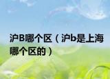 滬B哪個區(qū)（滬b是上海哪個區(qū)的）