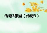 傳奇3手游（傳奇3）