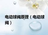 電動(dòng)球閥原理（電動(dòng)球閥）