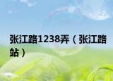 張江路1238弄（張江路站）