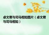 卓文君與司馬相如圖片（卓文君與司馬相如）