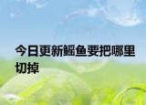 今日更新鰩魚要把哪里切掉