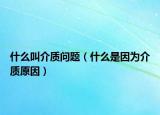 什么叫介質(zhì)問題（什么是因為介質(zhì)原因）