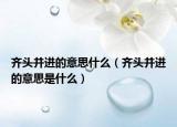 齊頭并進(jìn)的意思什么（齊頭并進(jìn)的意思是什么）