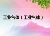 工業(yè)氣體（工業(yè)氣體）