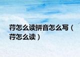 荇怎么讀拼音怎么寫(xiě)（荇怎么讀）