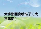 大宇集團(tuán)賣給誰(shuí)了（大宇集團(tuán)）