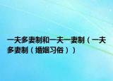 一夫多妻制和一夫一妻制（一夫多妻制（婚姻習(xí)俗））