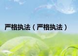 嚴格執(zhí)法（嚴格執(zhí)法）