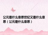 公元是什么意思世紀(jì)又是什么意思（公元是什么意思）