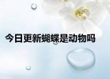 今日更新蝴蝶是動物嗎
