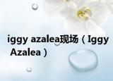 iggy azalea現(xiàn)場（Iggy Azalea）