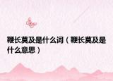 鞭長莫及是什么詞（鞭長莫及是什么意思）