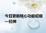 今日更新核心功能初級—拉伸