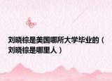劉曉棕是美國哪所大學(xué)畢業(yè)的（劉曉棕是哪里人）