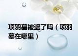 項(xiàng)羽墓被盜了嗎（項(xiàng)羽墓在哪里）