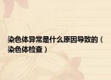 染色體異常是什么原因?qū)е碌模ㄈ旧w檢查）