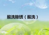 酸洗除銹（酸洗）