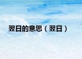 翌日的意思（翌日）
