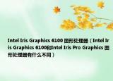 Intel Iris Graphics 6100 圖形處理器（Intel Iris Graphics 6100和Intel Iris Pro Graphics 圖形處理器有什么不同）