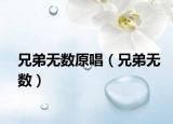 兄弟無數(shù)原唱（兄弟無數(shù)）