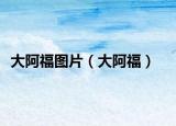 大阿福圖片（大阿福）