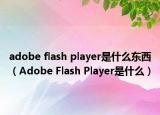 adobe flash player是什么東西（Adobe Flash Player是什么）