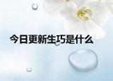 今日更新生巧是什么