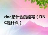 dnc是什么的縮寫（DNC是什么）