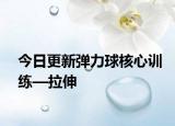 今日更新彈力球核心訓練—拉伸