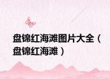 盤錦紅海灘圖片大全（盤錦紅海灘）