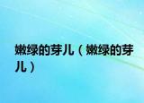 嫩綠的芽兒（嫩綠的芽兒）